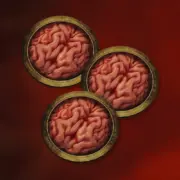 Expansion Baron von Zom Extra Player - Image 3